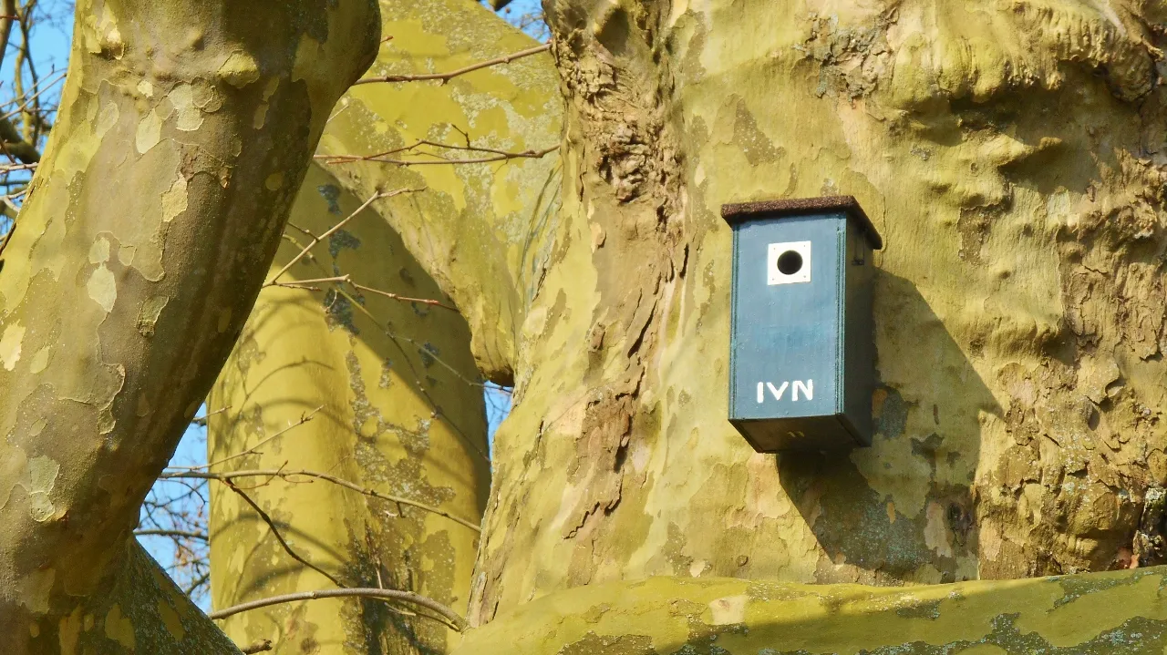 ivn heerlen 1 1280x719