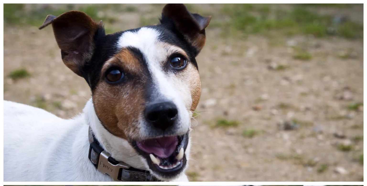 jaimy e1432220823603