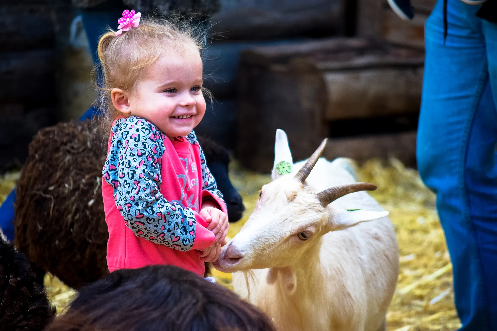 kidsweekend2015 heerlen mijnstad david doelen