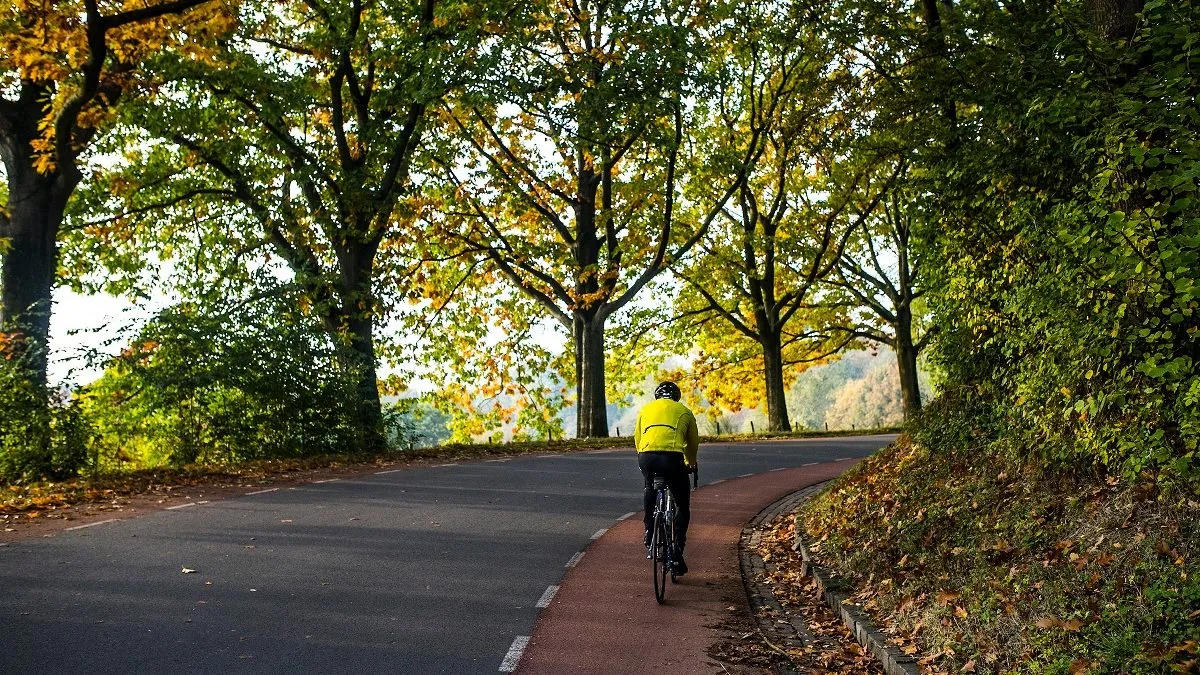 limburg0883 lr e1544190505709