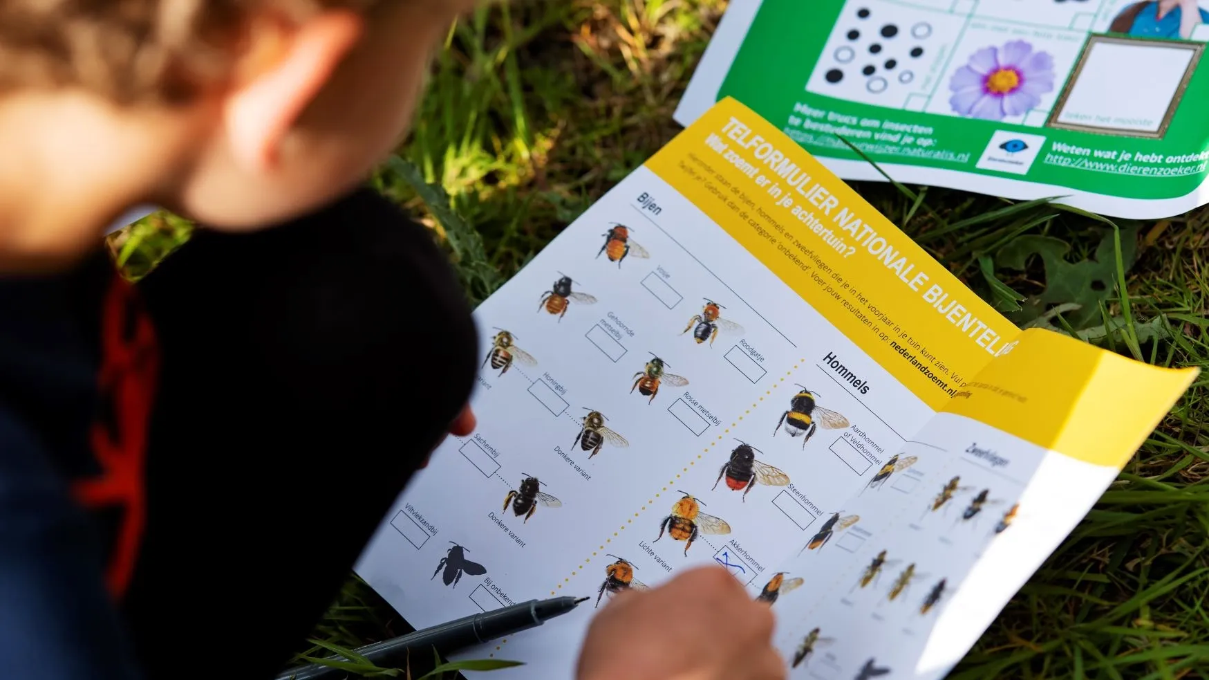 md naturalis nederland zoemt 016
