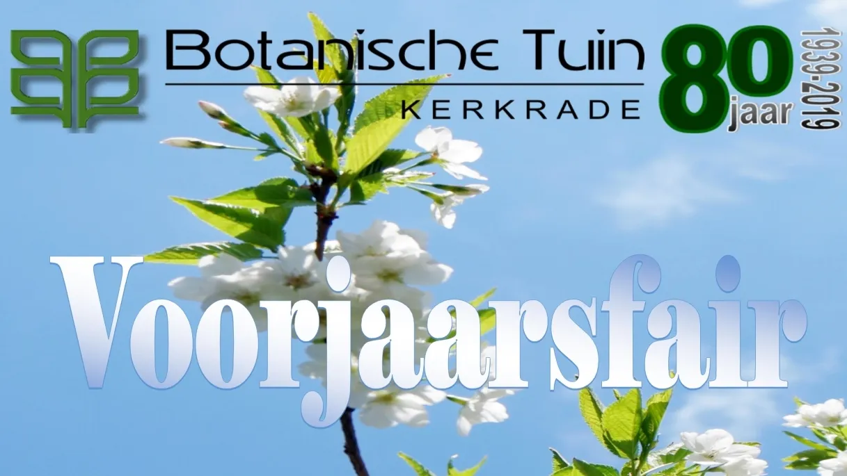 postervoorjf 3