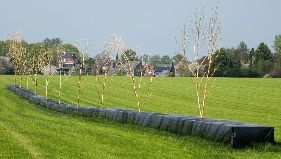 projectwanderslr e1525182432386