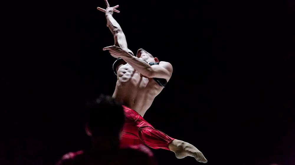 schritt macher e1488546899791