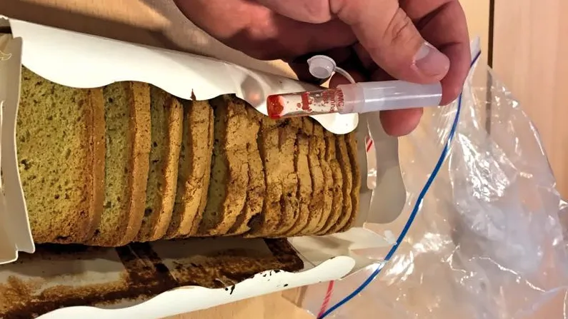 spacecake 3 e1442001701817