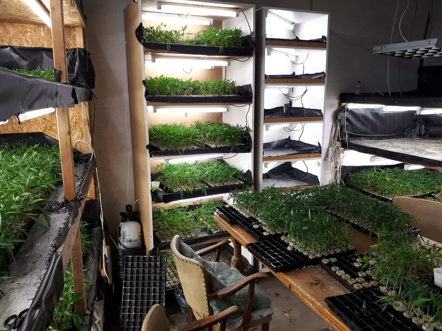 stekkenplantage hoensbroek