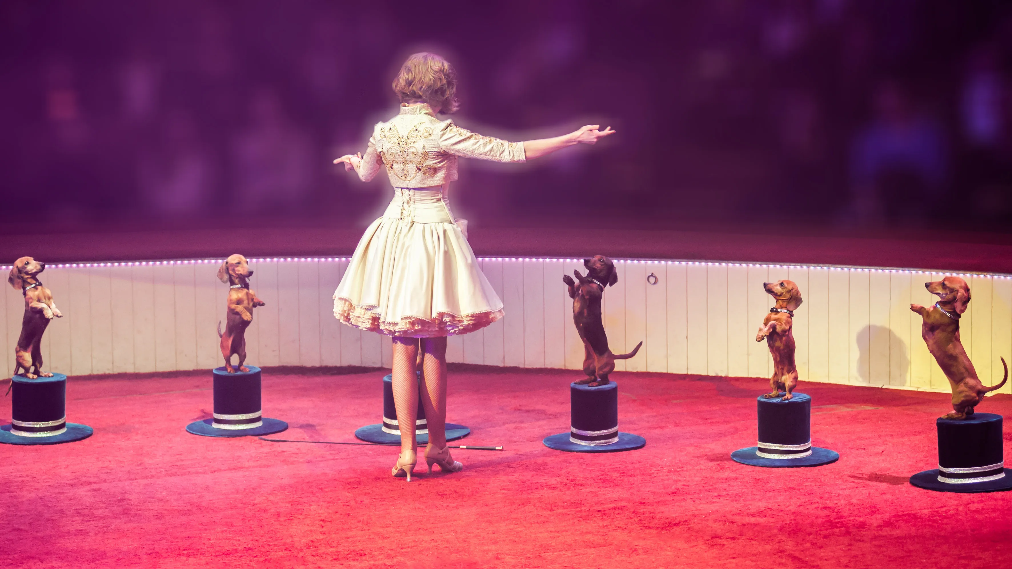 wintercircus arlette hanson 2017 2018 diana vedyashkina 4b fotograaf piet hein out e1512489058482