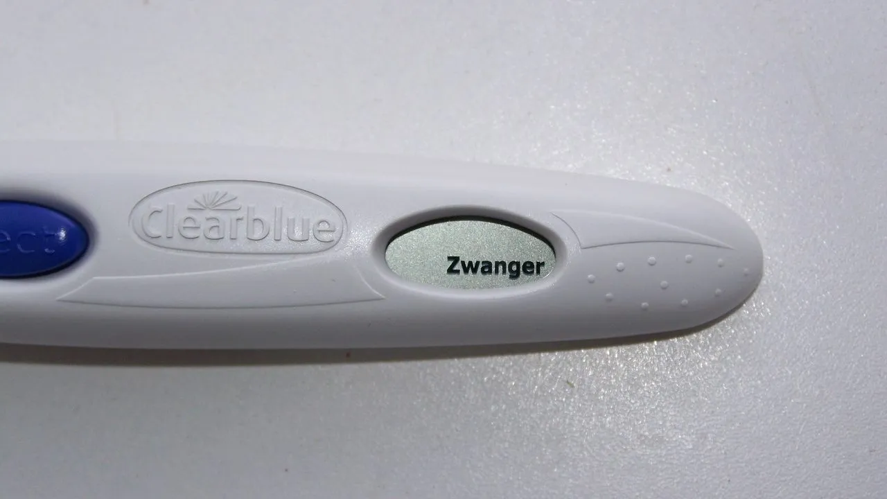 zwangerschapstest cco public domain e1496851470675