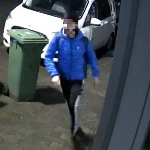 getuige wolfskers beter geblurd