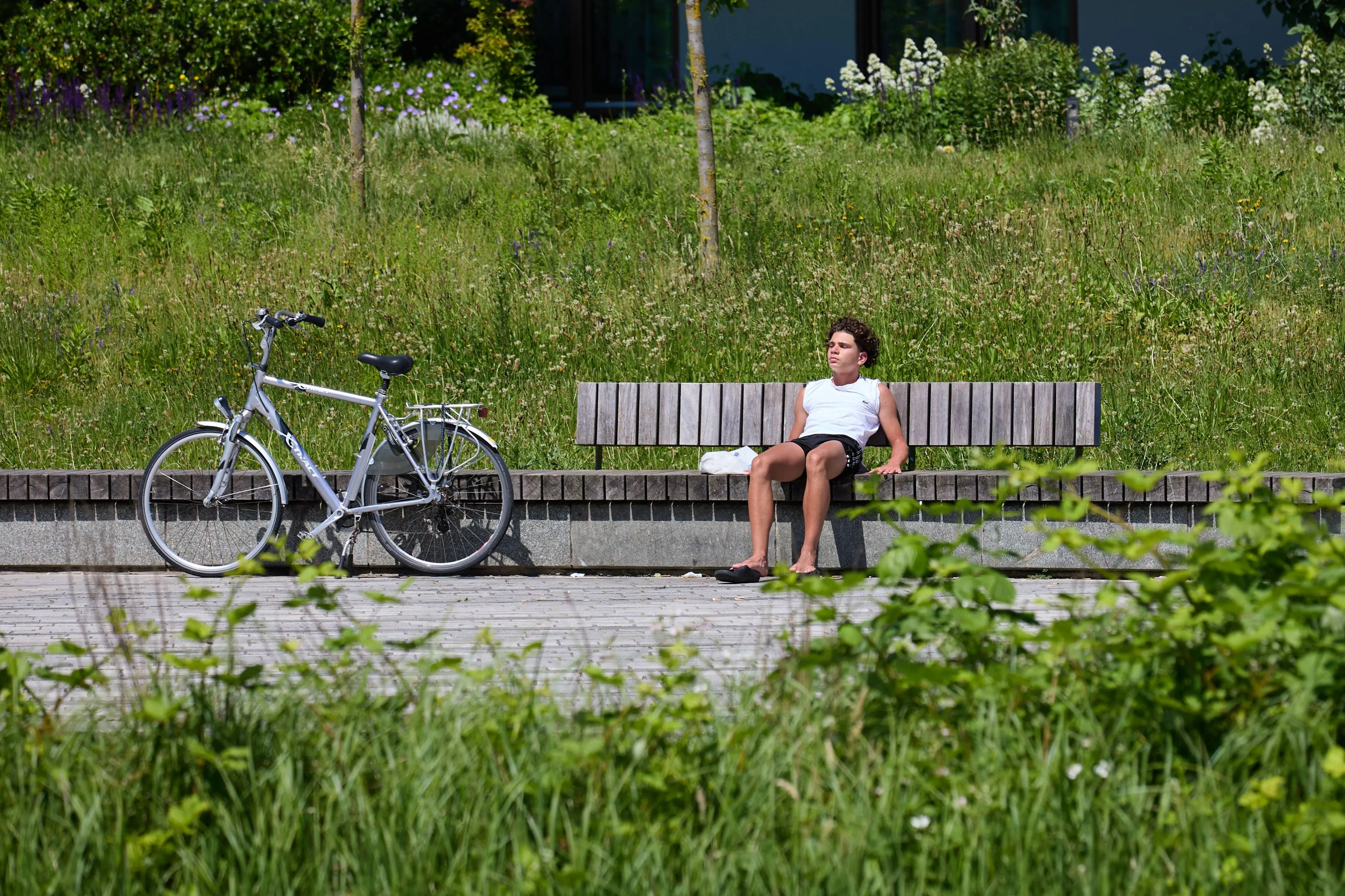 260526 1368 Warm weer in Helmond centrum