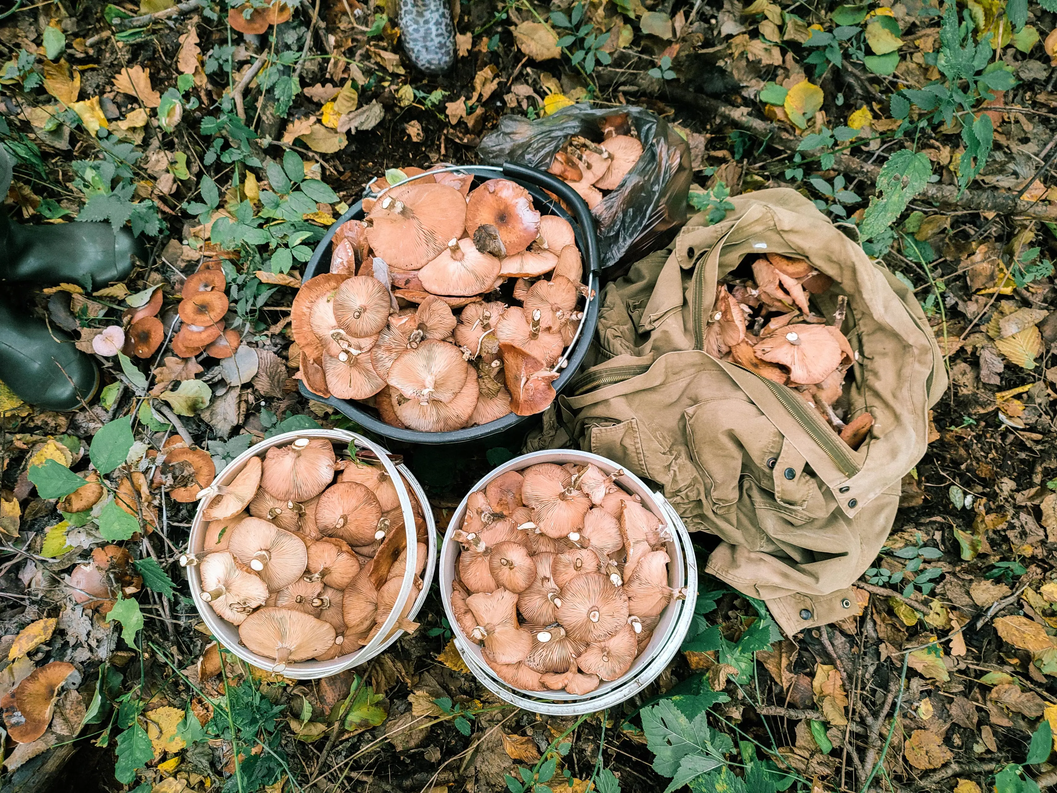 pexels nabokovin 9787085