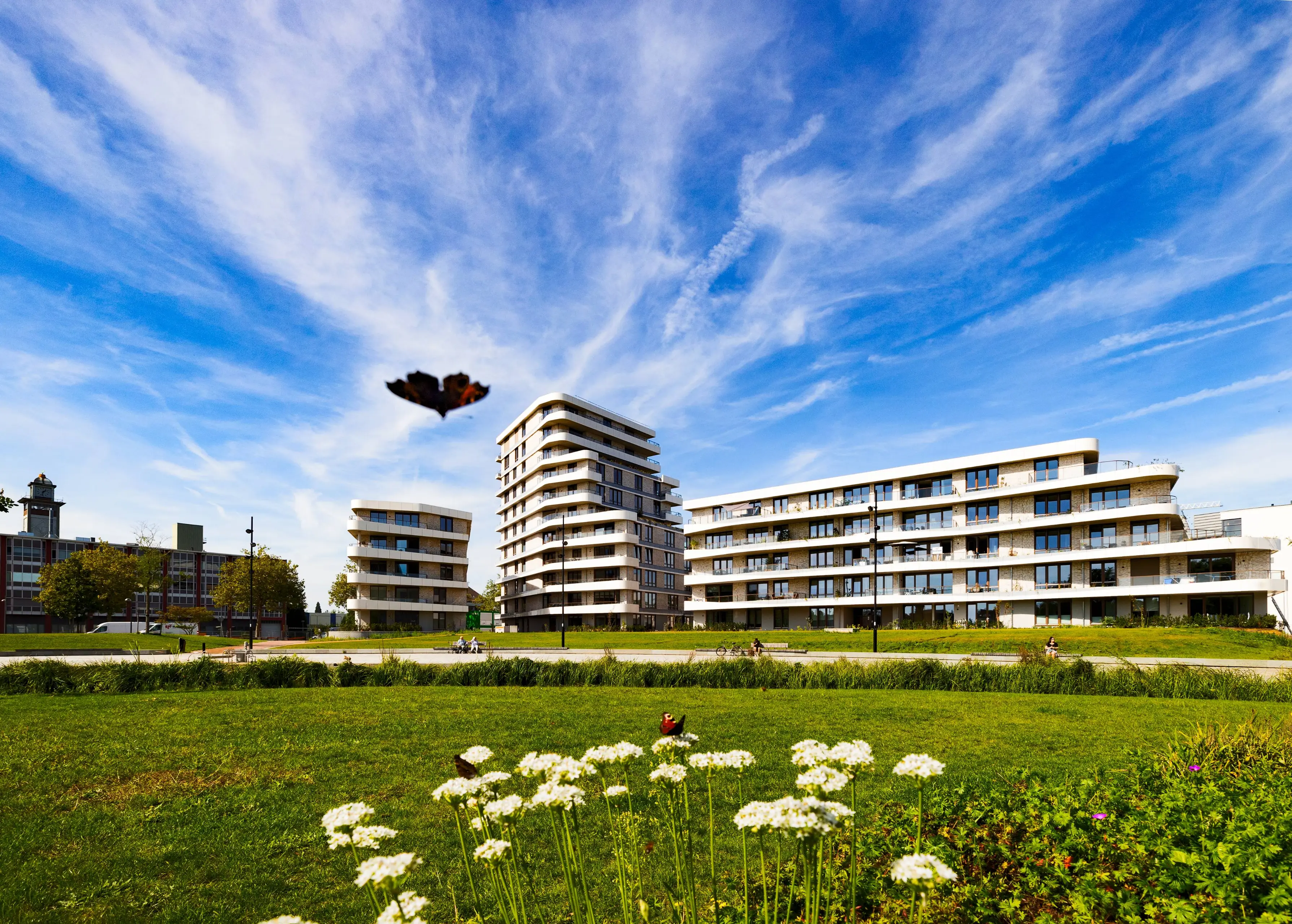 230904 4026 burgemeester Geukerspark in bloei