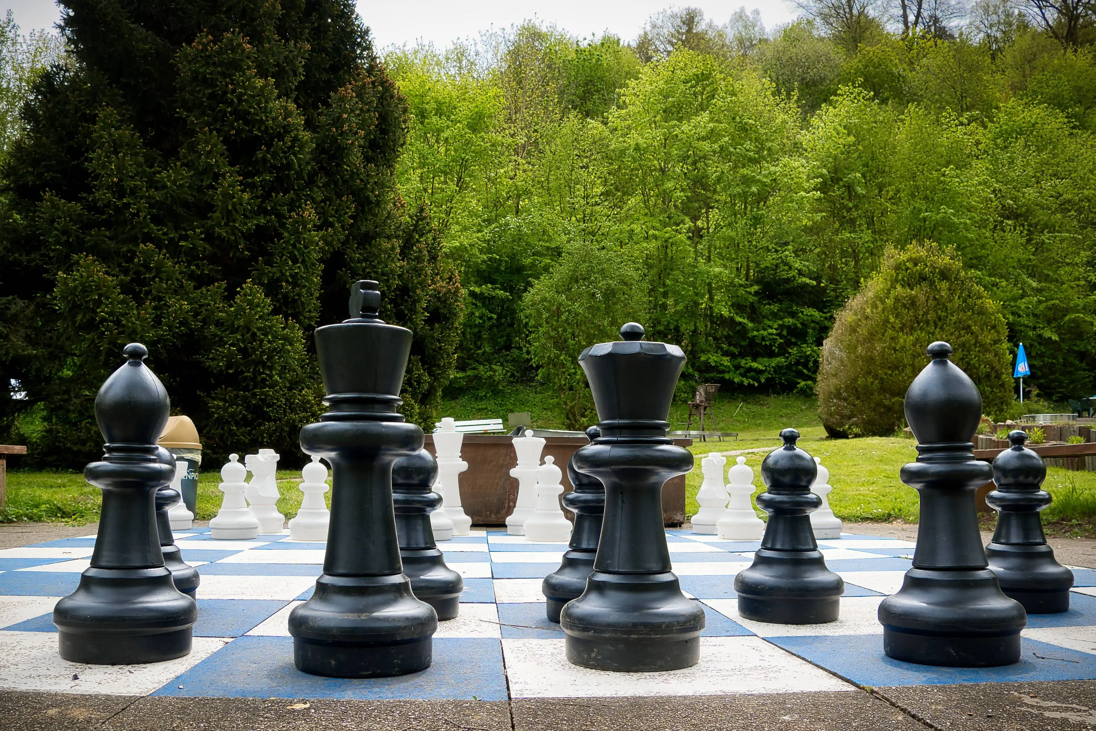 pexels joerg hartmann 626385254 30368875