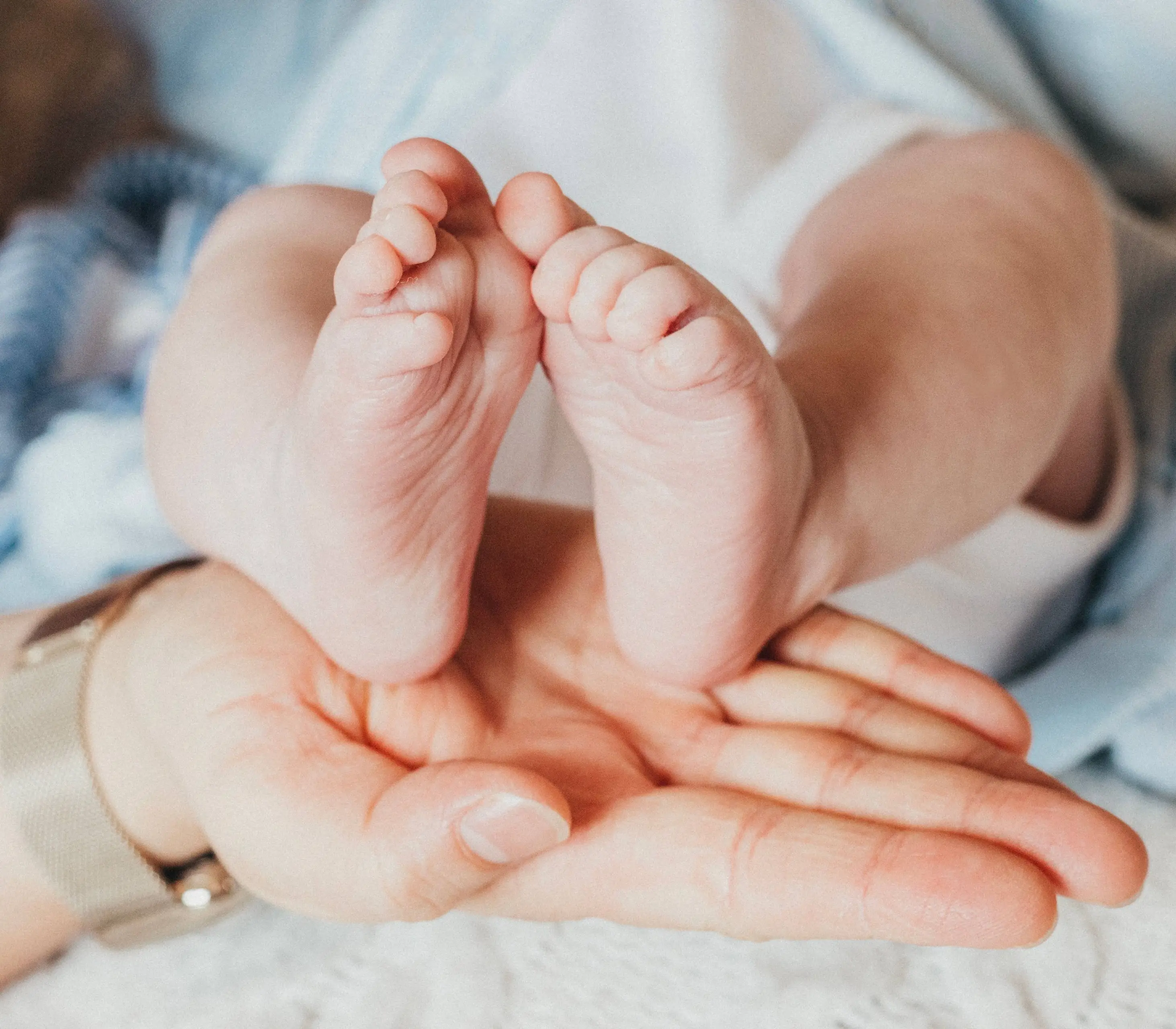 pexels nicu cobasnean 860727842 19606042