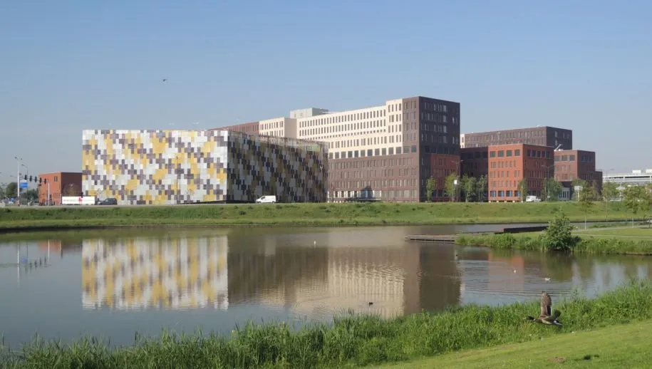 00 jbz divers 2 915x518