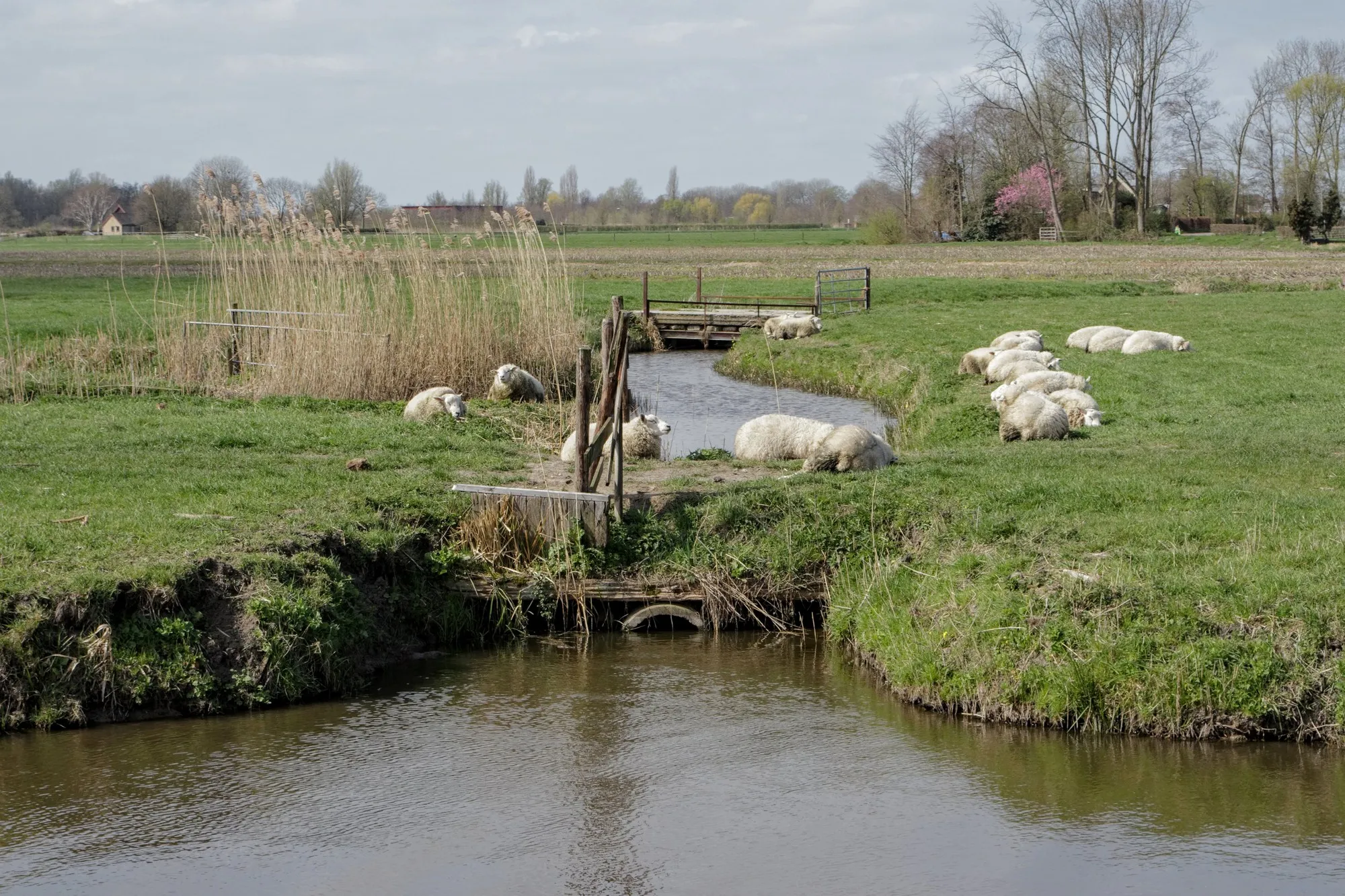 001 marjolein spreekwoord