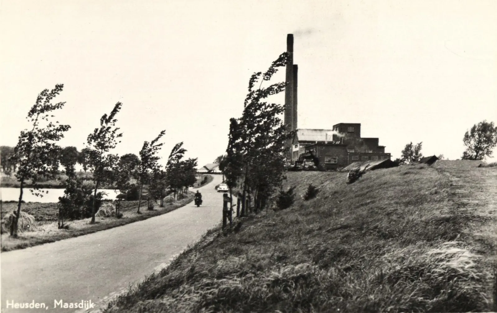 1 de maasdijk bij heusden foto beeldbank salha