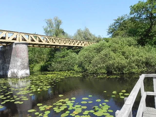 10685600 1550913725153484 4140081317860521664 n