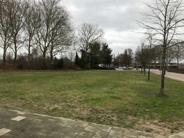 111fotochrysantenstraatimg 1615