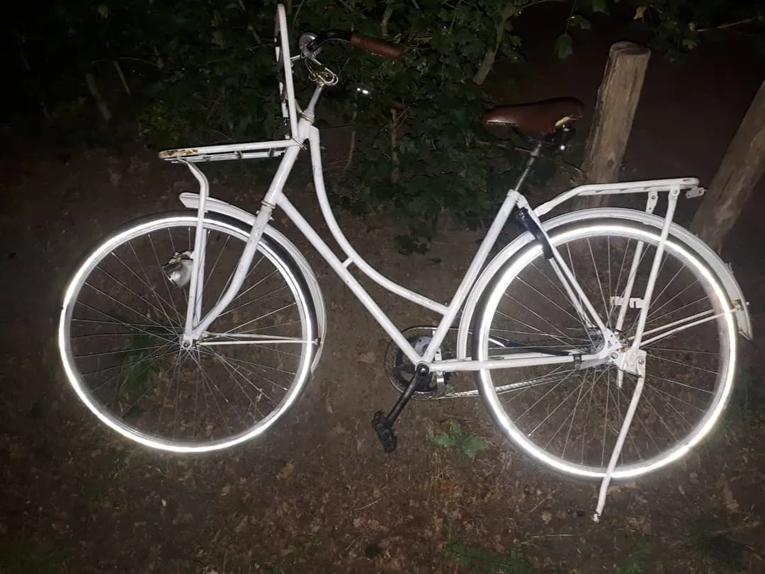 115909450 2652970271610884 3138405662434958381 o