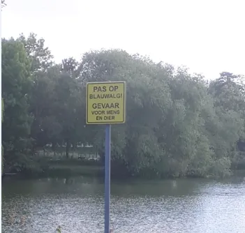 117953674 3196948963715986 17263900555384030 n