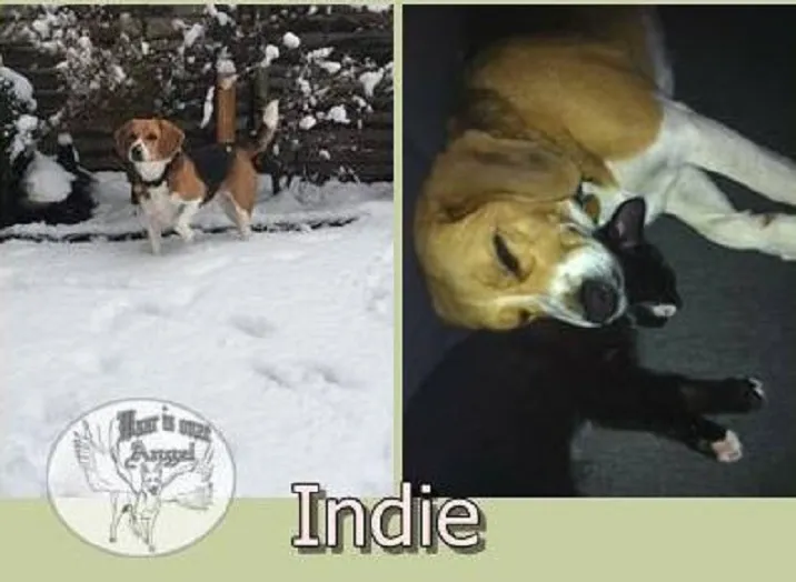 1512422 806964362672322 4022199835020728429 na