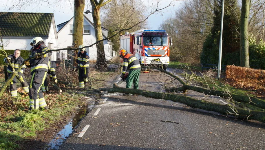 1552146709 picsay 915x518 1