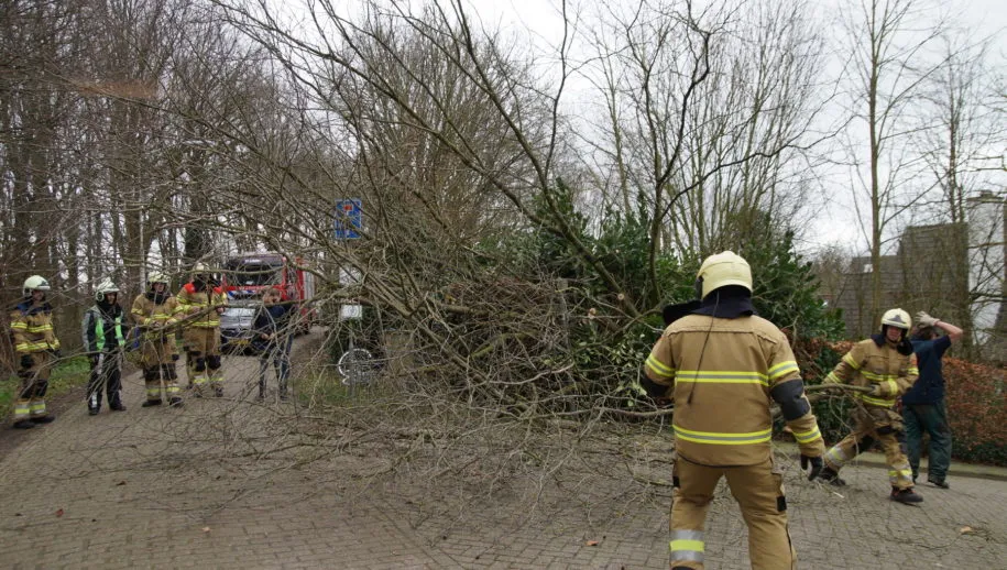 1581250363 picsay 915x518 1