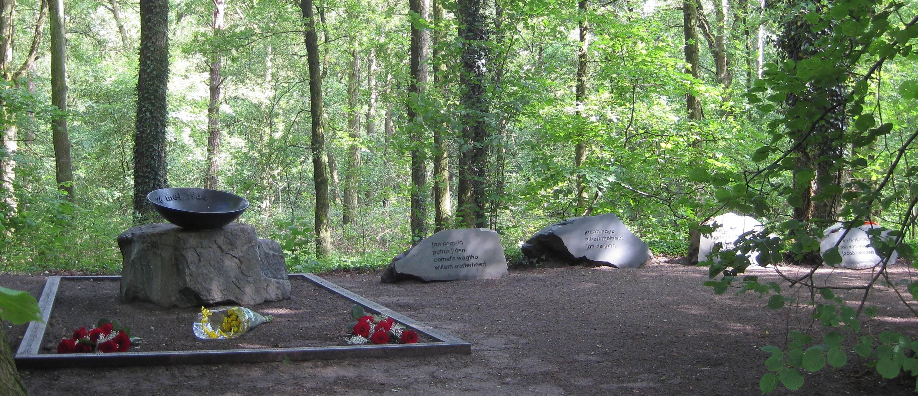 1584 b5cbc6539c17b3d66c24358345c95cb7