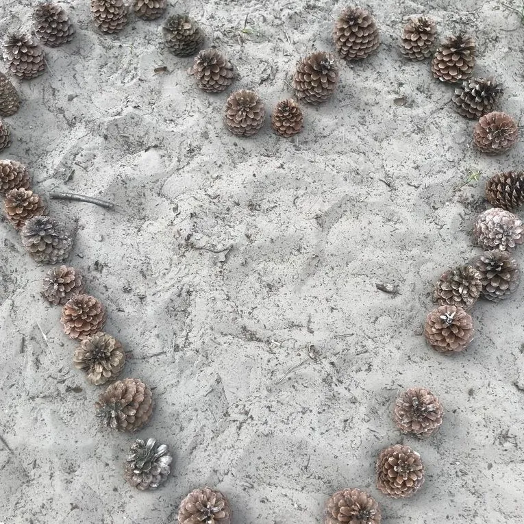 164498114 1803256756501307 6584958996817184684 o