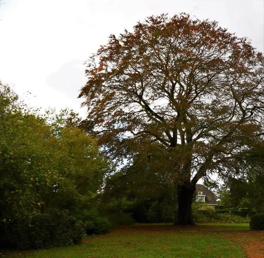 166173845 1295470154167944 3037886173073139908 n