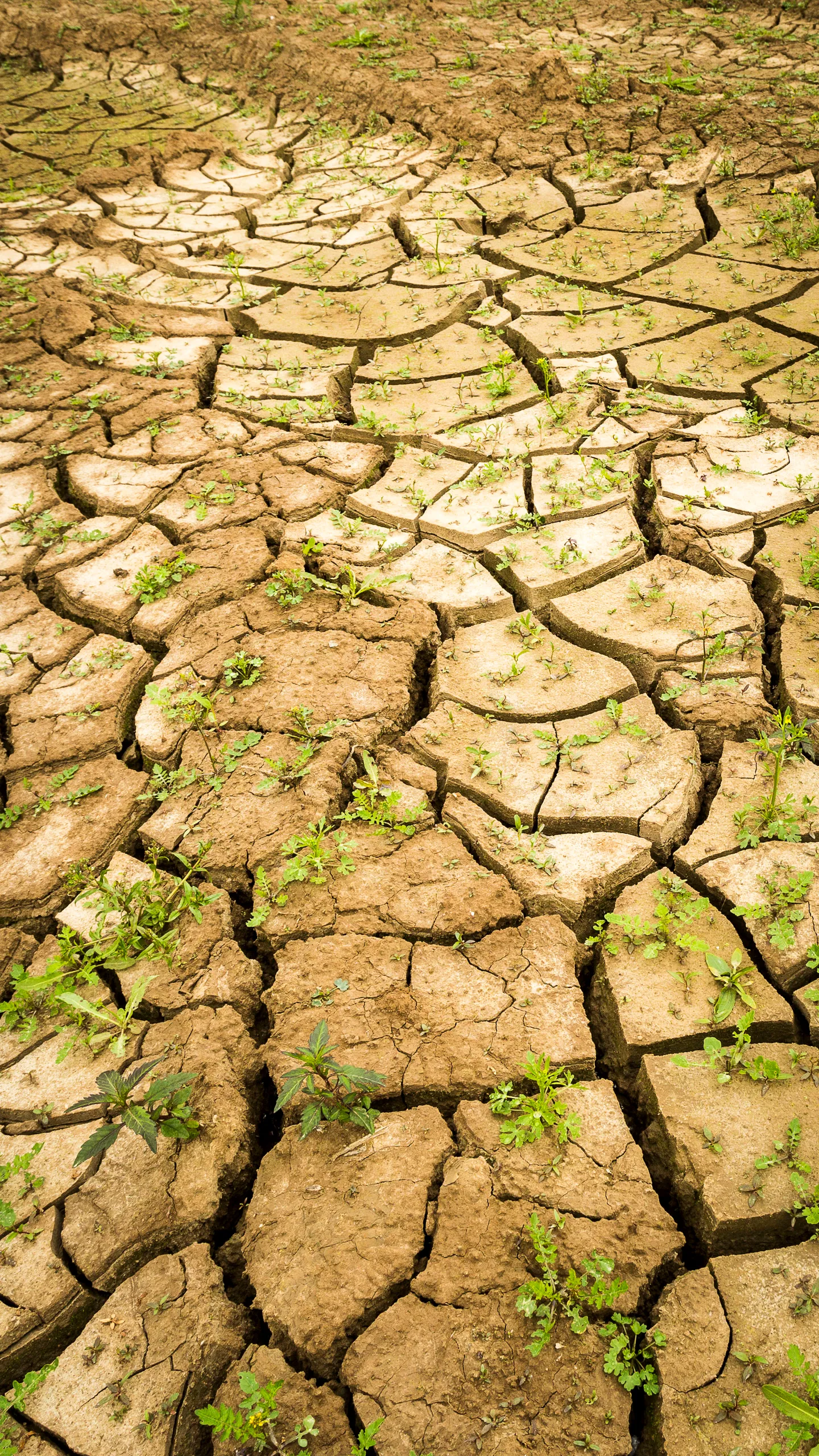 1775 74ef660e2832e9faad21087ea0e2d042