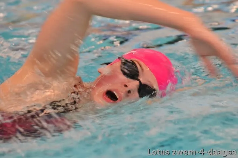 2015 01 03 lotus zwem 4daagse 057 800x600