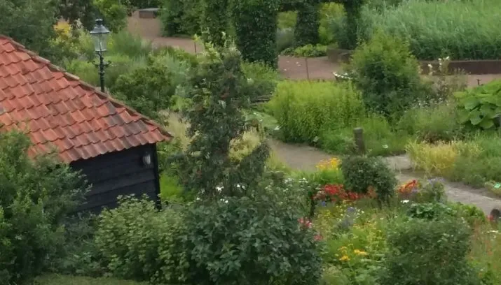 2016 07 08 1 715x408