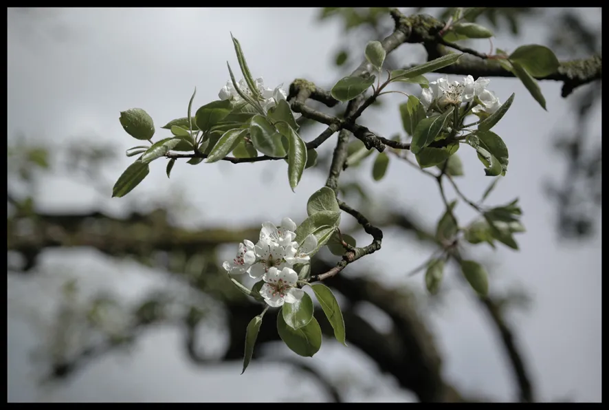 20160302 persbericht fotografie marja sterck