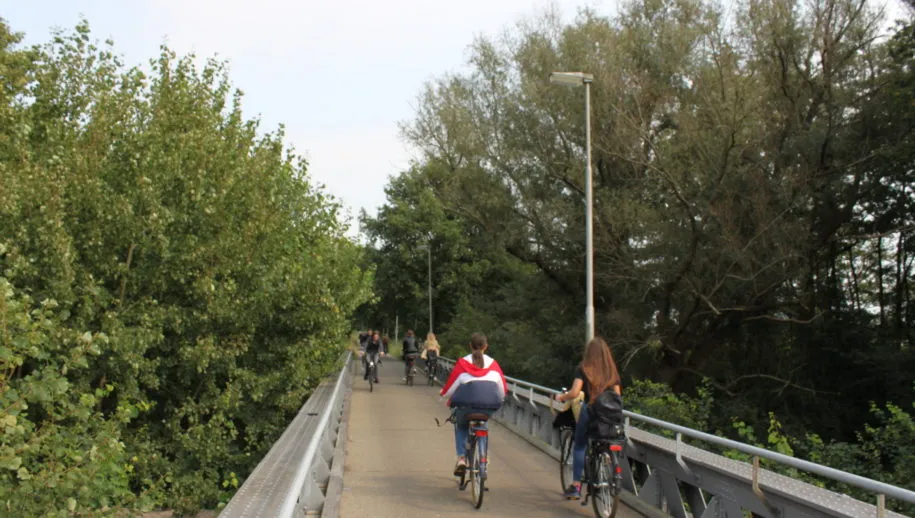 2020 10 11 nmvh persbericht bezwaar kapvergunning gol drunen en waalwijkimg 9318 915x518 1