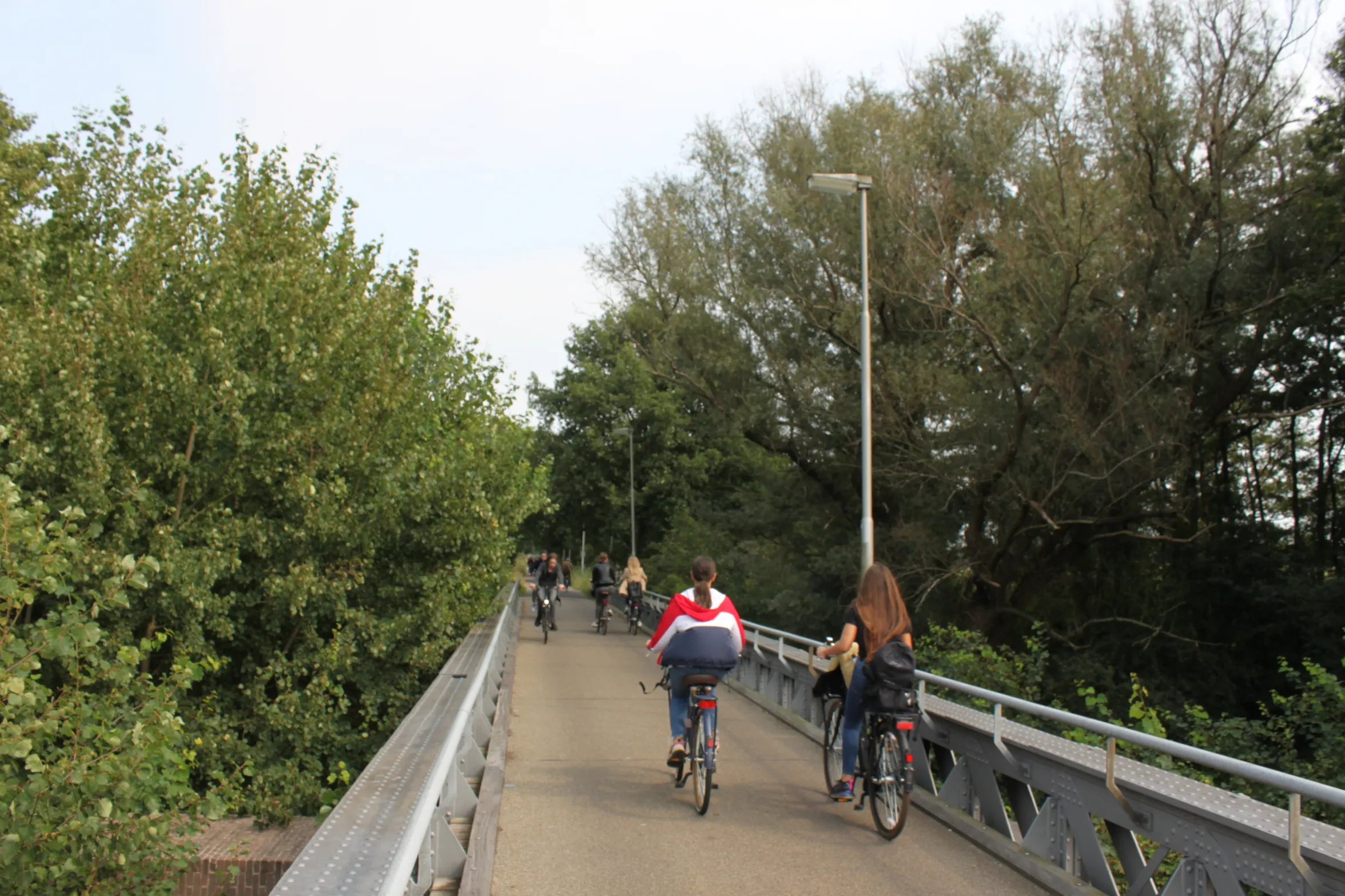 2020 10 11 nmvh persbericht bezwaar kapvergunning gol drunen en waalwijkimg 9318