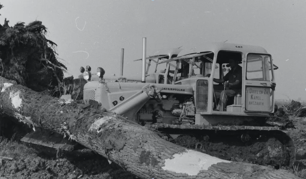 2020 12 02a nmvh persbericht 96x omgehakte zaagde boom foto giel van oijen pict0002