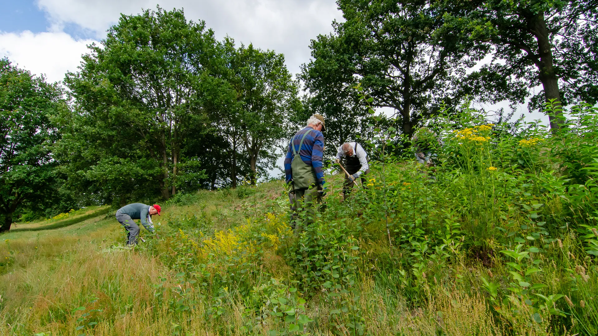 2020 12 02y heidijk8 foto ate dijk