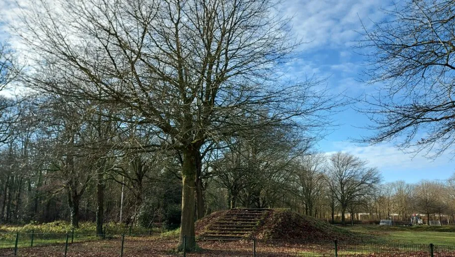 20210110 131554 1 915x518 1