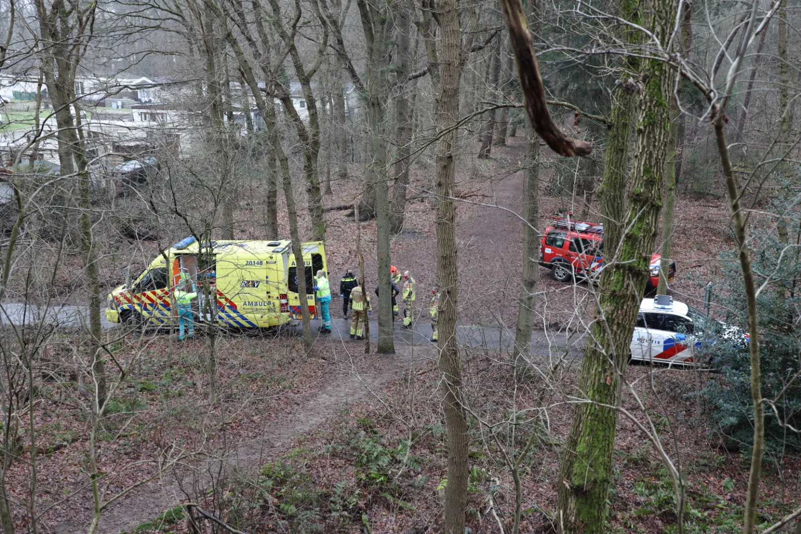 20210206122734 fpmb0336