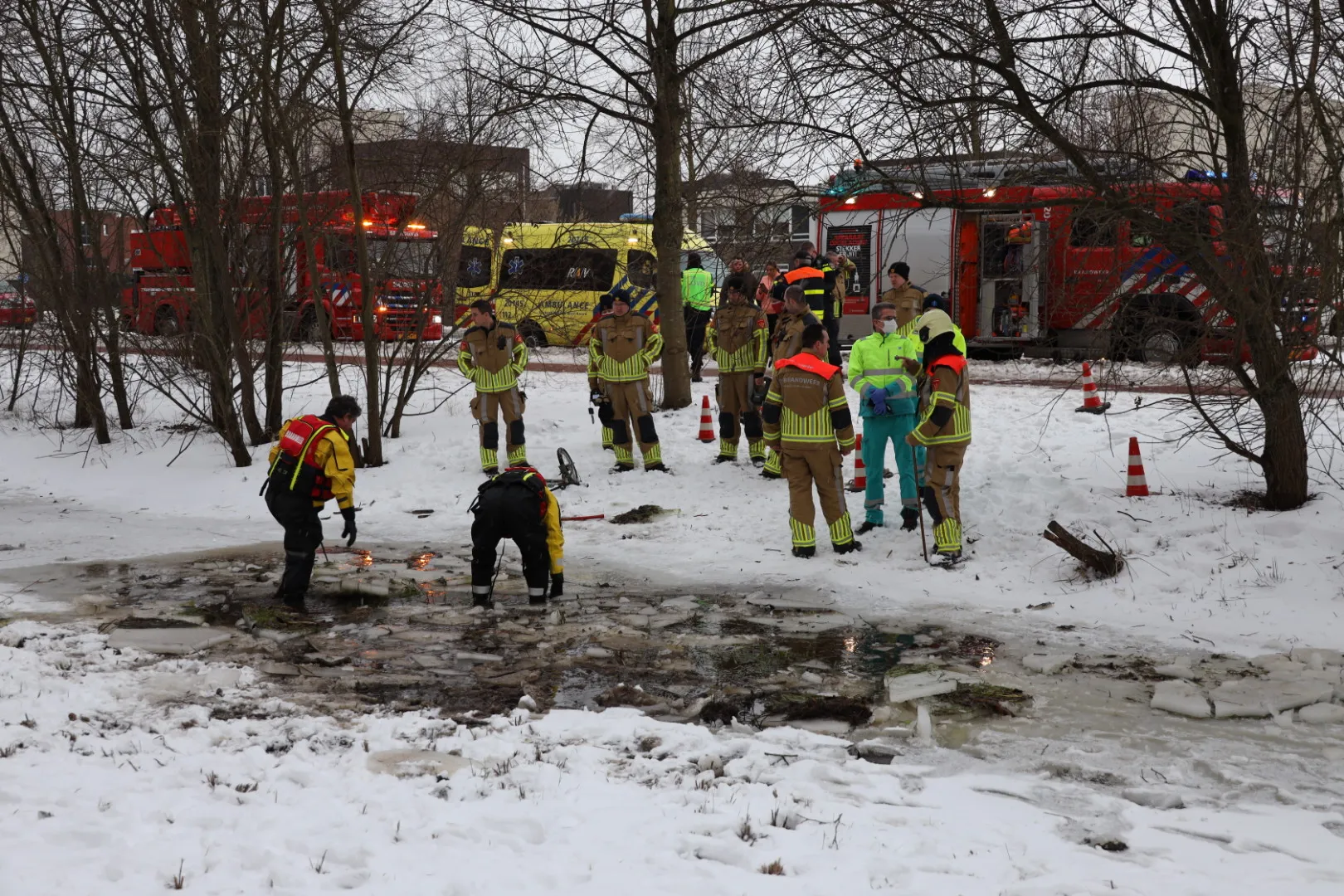 20210210170245 fpmb0369