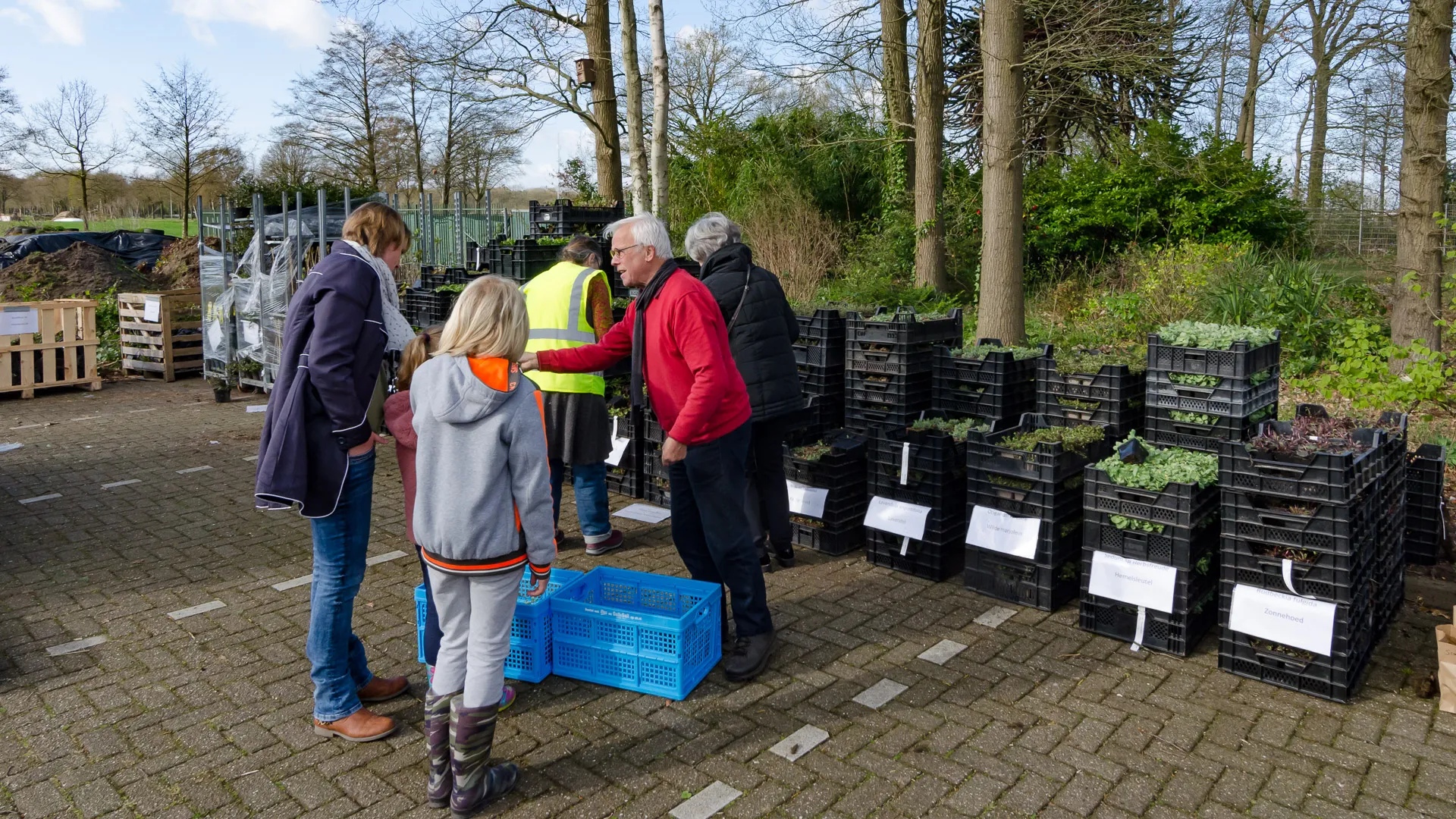 2022 04 20a 2022 04 09 plantenactie drunen foto ate dijk plantendag drunen 8