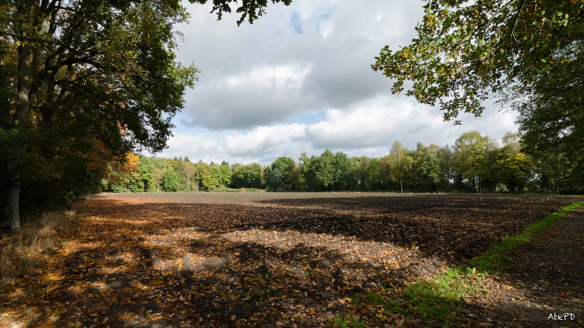 2022 12 11 te beplanten perceel foto ate dijk
