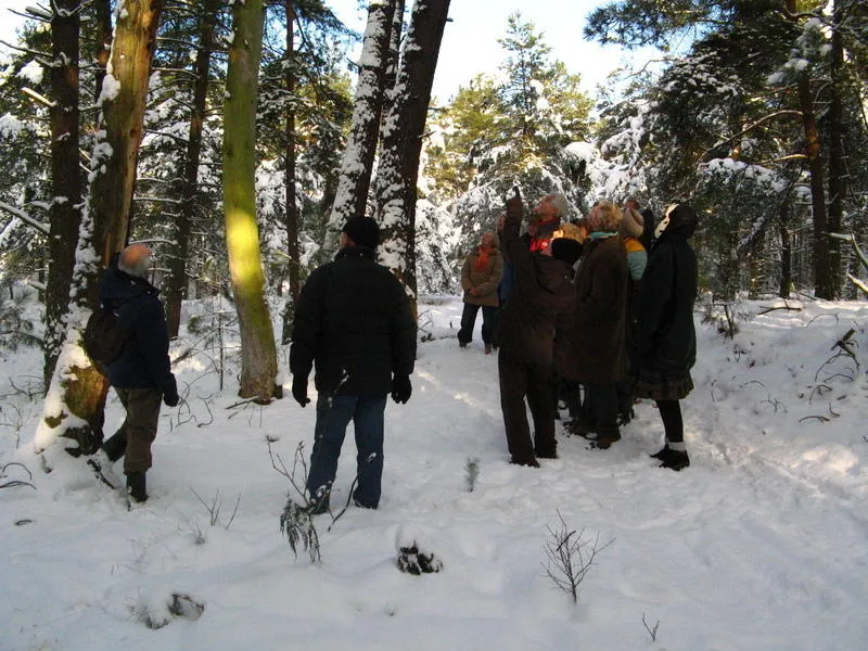 2022 12 19a wandeling in ldd kerst 2010 fotograaf onbekend