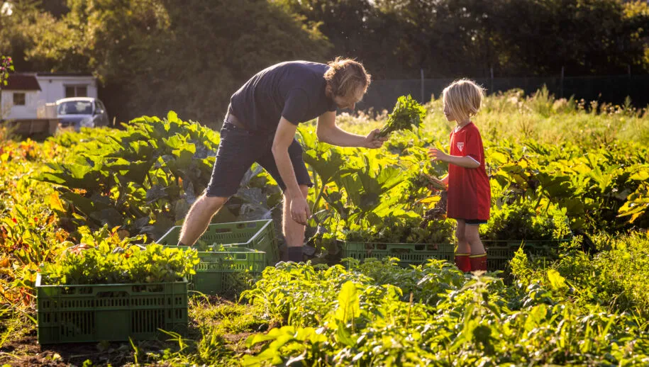 2022 heemstede markvstokkom 34 915x518 1