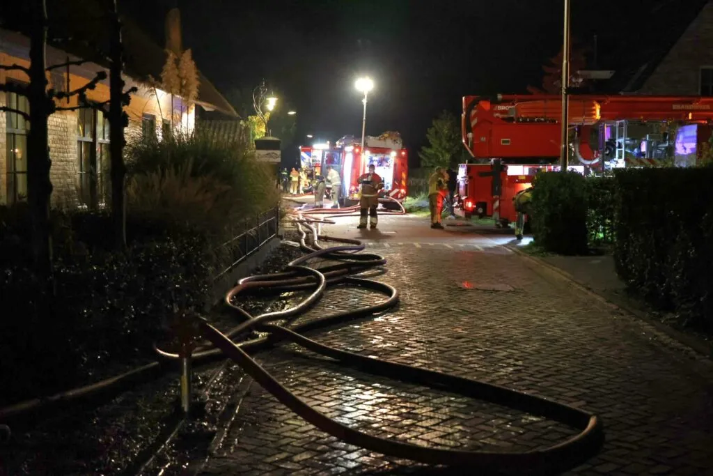 20221016020135 fpmb5888 1024x683 1