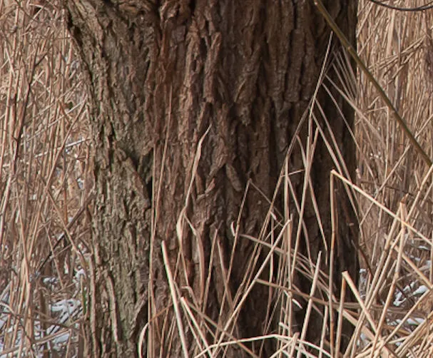 2023 02 12a hooibroeksesteeg8