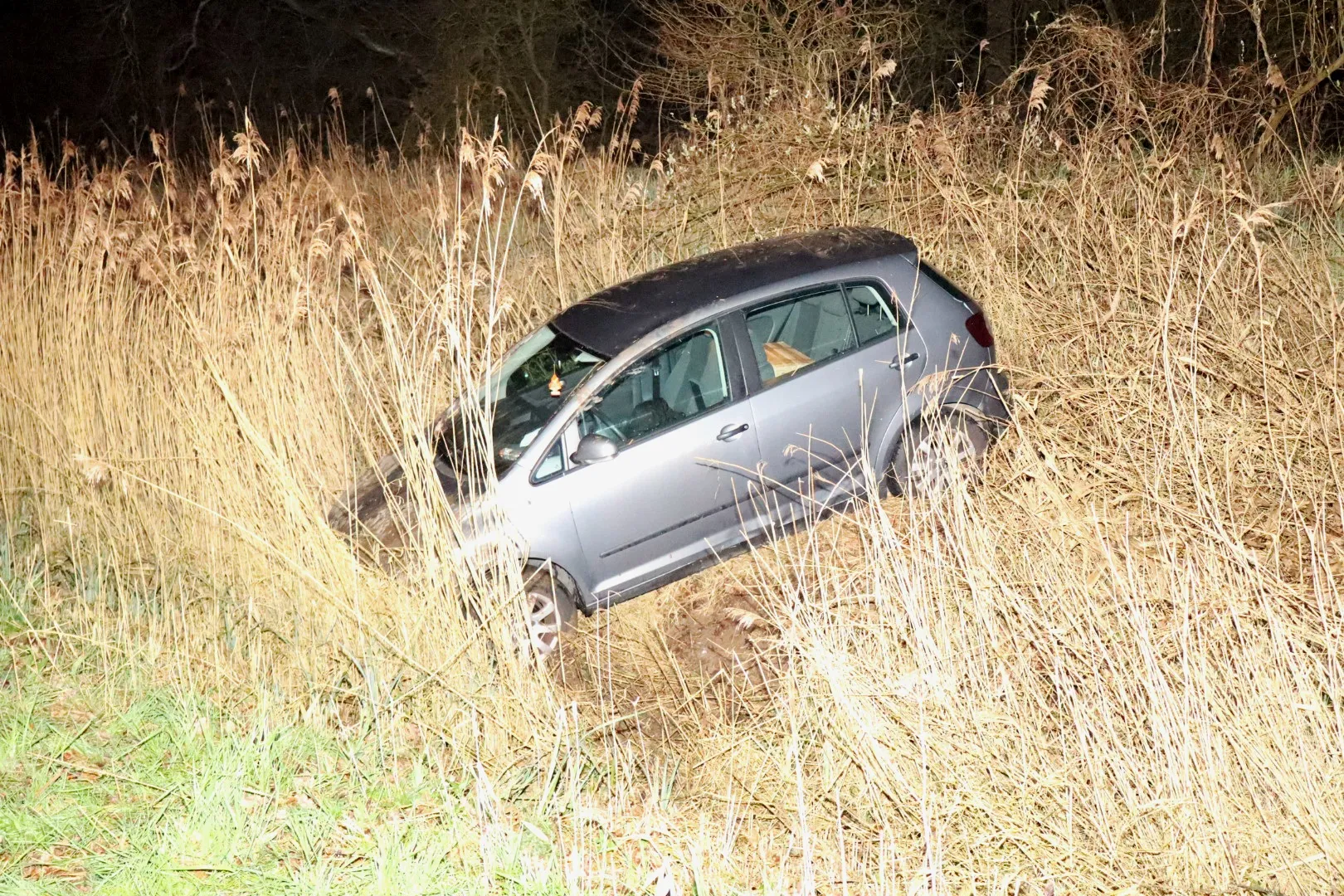 20240305191109 img 7503