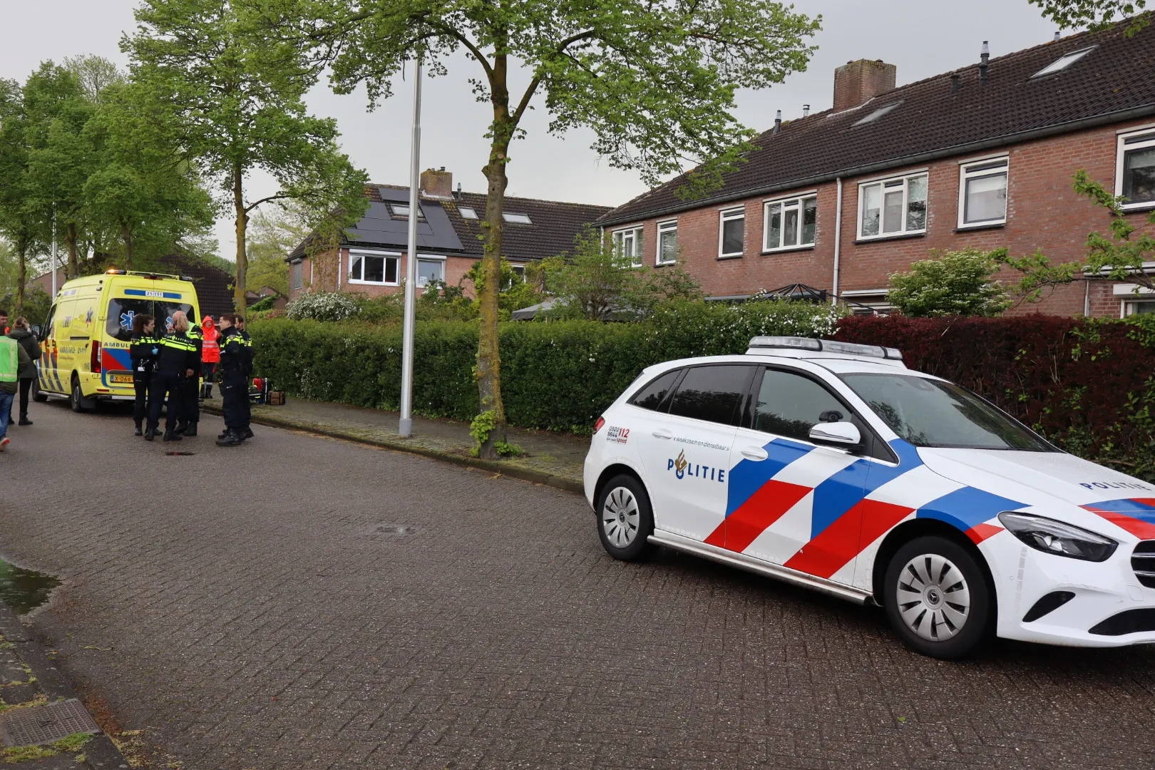 20240416150503 img 7944